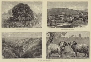 Pictures of South Australia